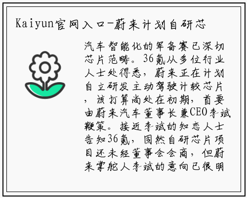 Kaiyun官网入口-蔚来计划自研芯片，李斌正积极推动